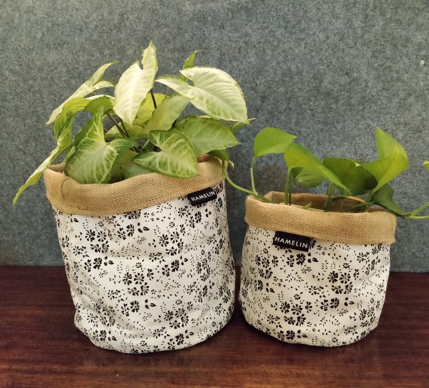 Chic Planter Wrap (Muse)