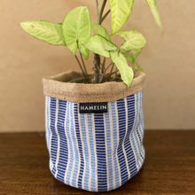 Chic Planter Wrap  (Hive)