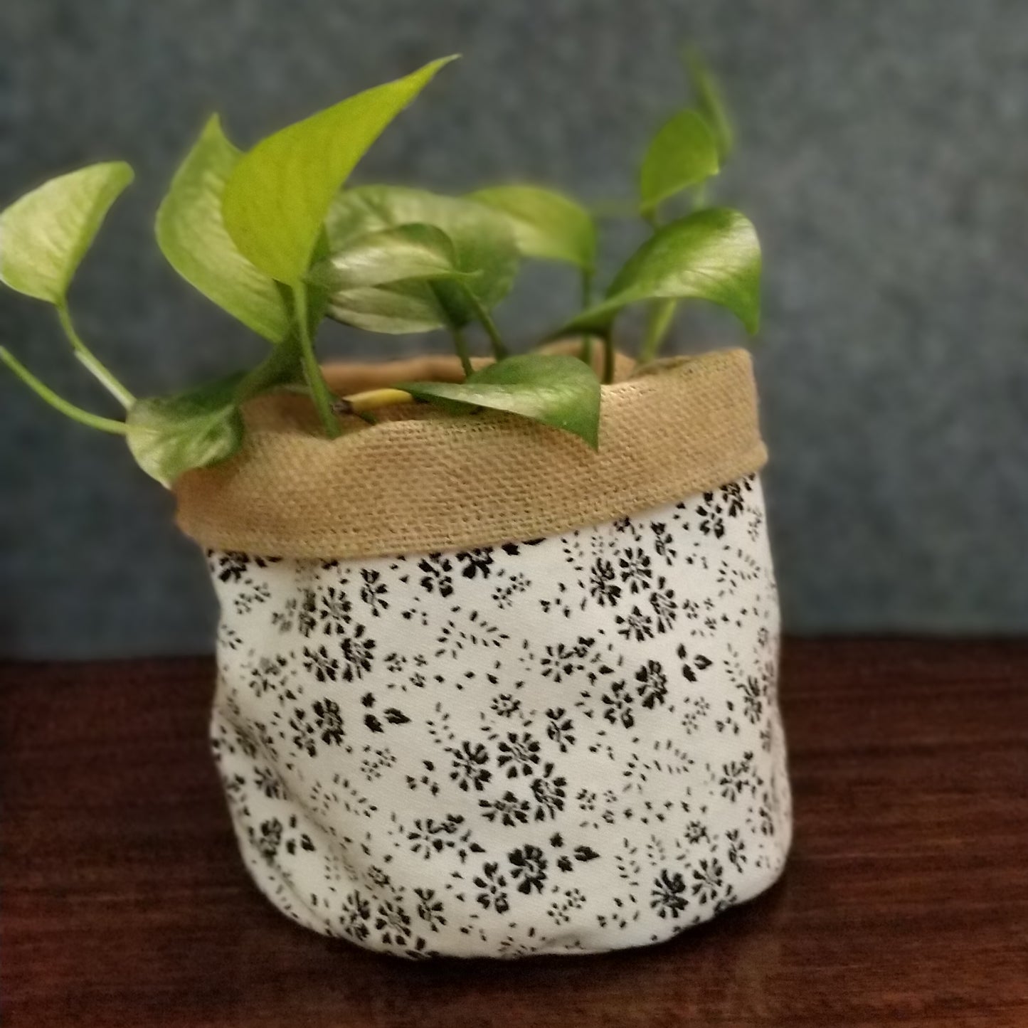 Chic Planter Wrap  (Muse)