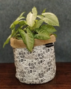 Chic Planter Wrap  (Muse)