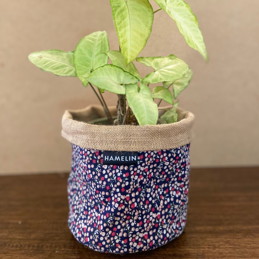 Chic Planter Wrap  (Bloom)