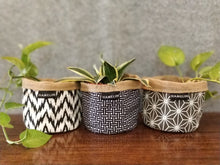 Chic Planter Wraps Mini - Gift Set (Neutra)