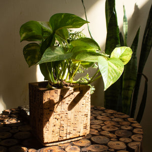 Eva Natural Cork Planter
